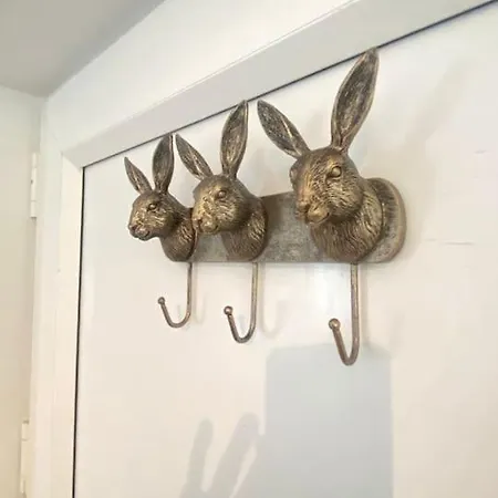 Appartamento Ollie's Den Wexford