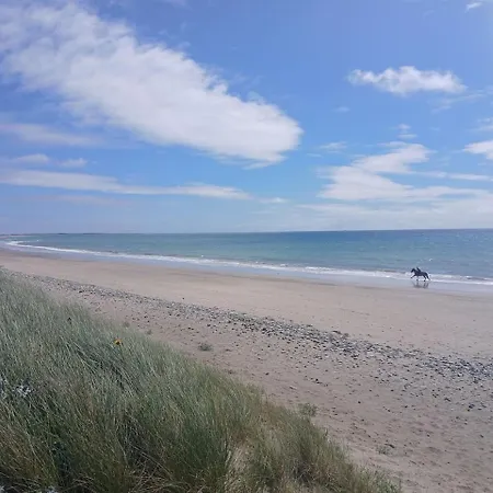 Ollie's Den Appartamento