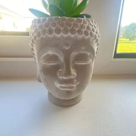 Ollie's Den * Wexford