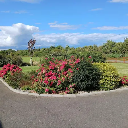 Ollie's Den Apartament