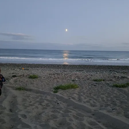 Ollie's Den * ווקספורד