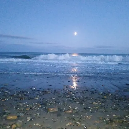 Ollie's Den Wexford