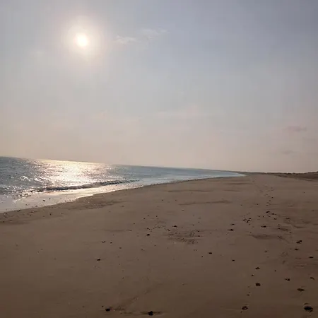 Apartman Ollie's Den