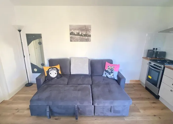 Ollie's Den * Wexford