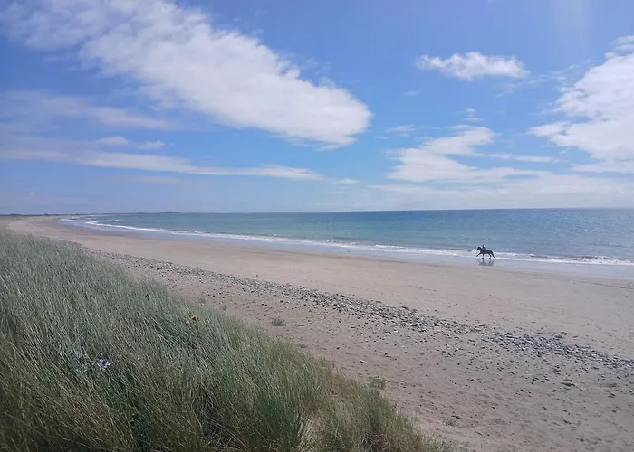 Ollie's Den Apartman