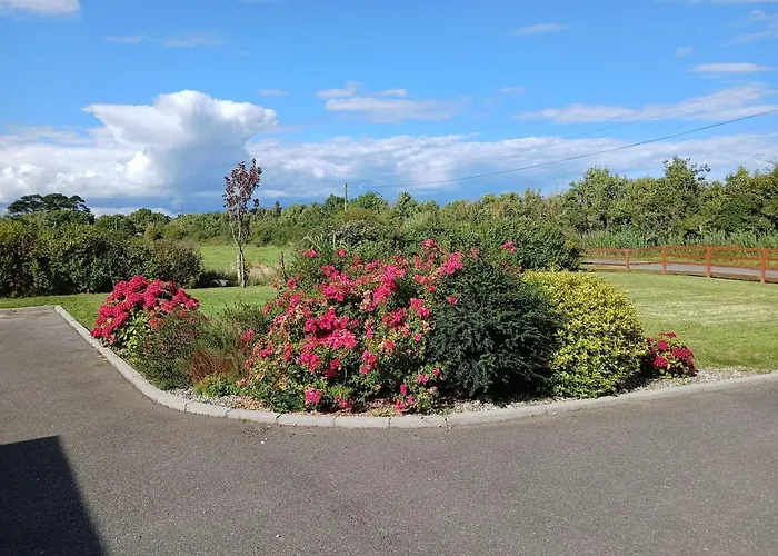 Ollie's Den Appartement