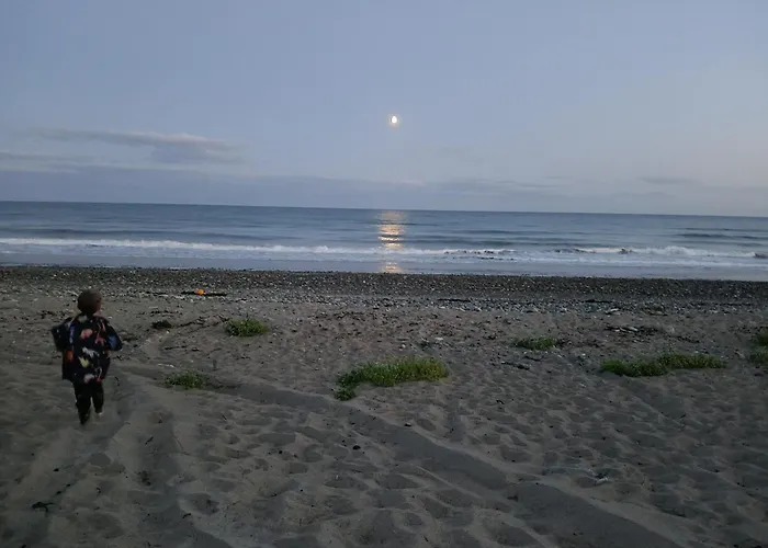 Ollie's Den * Wexford