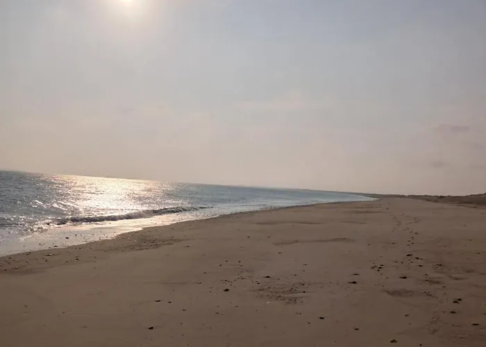 Apartman Ollie's Den